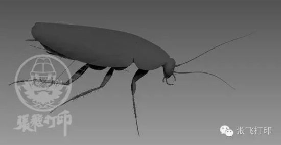 3D打印蟑螂小強(qiáng)誕生記(超精細(xì)) 妹紙膽小也可入
3D打印蟑螂,3D打印小強(qiáng),3D打印技術(shù),3D打印服務(wù),3D打印平臺(tái),e鍵打印