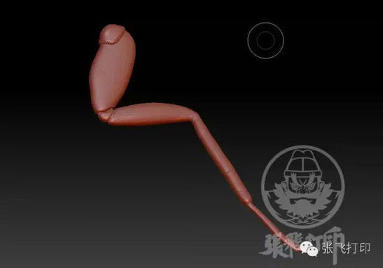 3D打印蟑螂小強(qiáng)誕生記(超精細(xì)) 妹紙膽小也可入
3D打印蟑螂,3D打印小強(qiáng),3D打印技術(shù),3D打印服務(wù),3D打印平臺(tái),e鍵打印