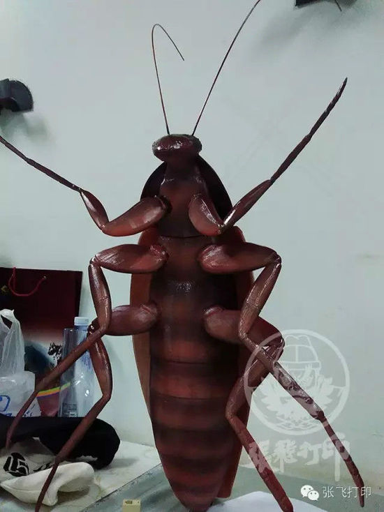3D打印蟑螂小強(qiáng)誕生記(超精細(xì)) 妹紙膽小也可入
3D打印蟑螂,3D打印小強(qiáng),3D打印技術(shù),3D打印服務(wù),3D打印平臺(tái),e鍵打印