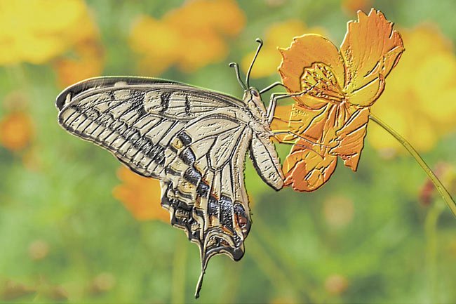 3D打印機小弟2.5D打印機 用來打印盲文效果嗷嗷的